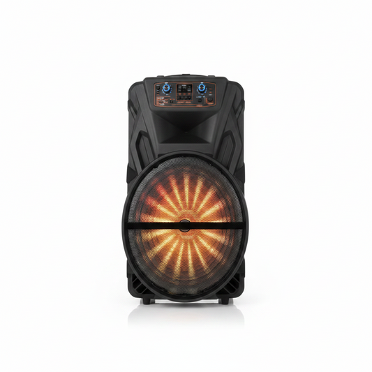 1509 15-inch party speaker