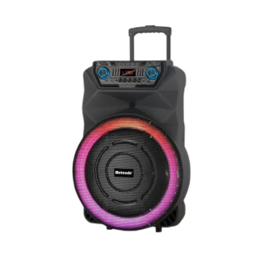Meirende 1810 18-Inch Party Speaker