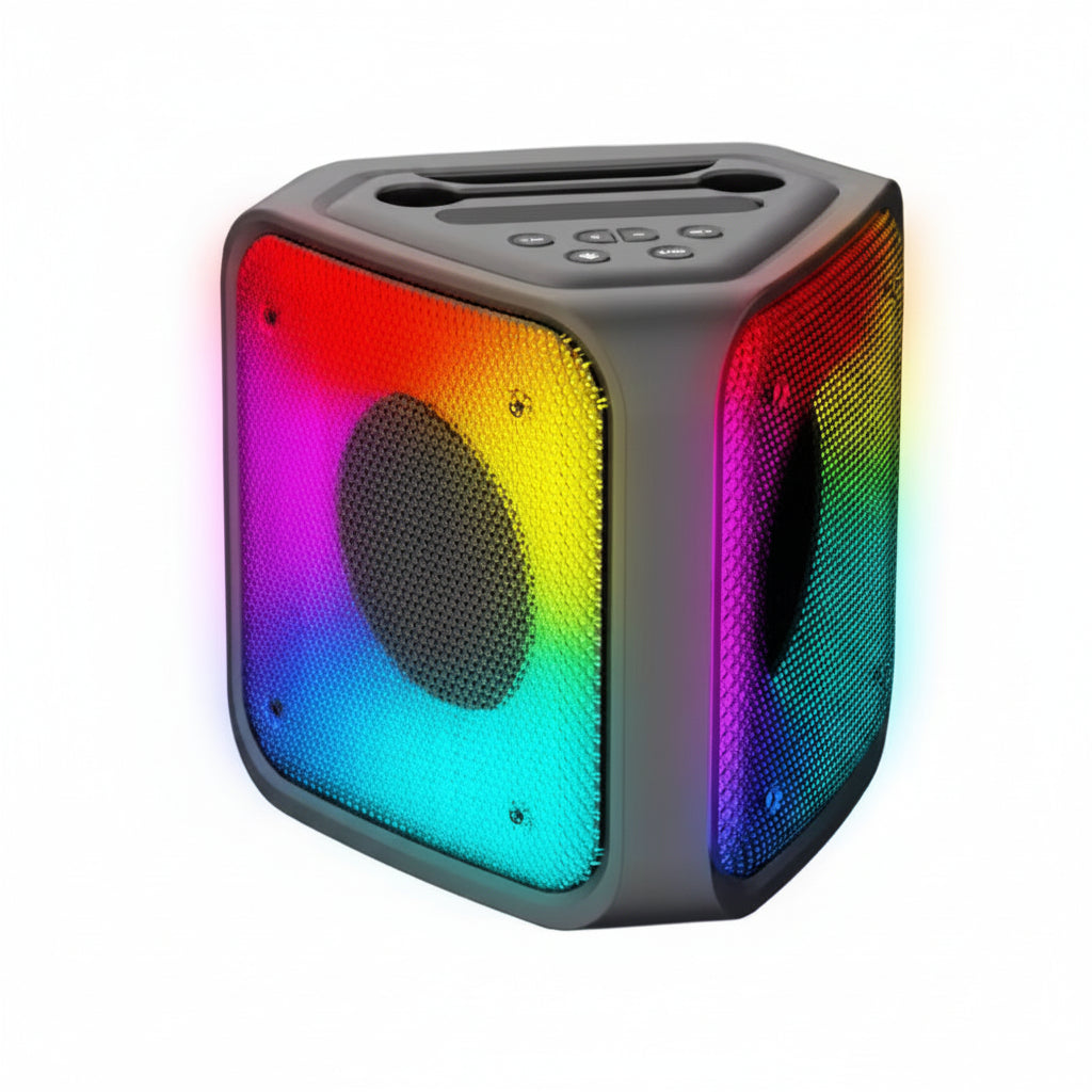JBK 6101 karaoke speaker