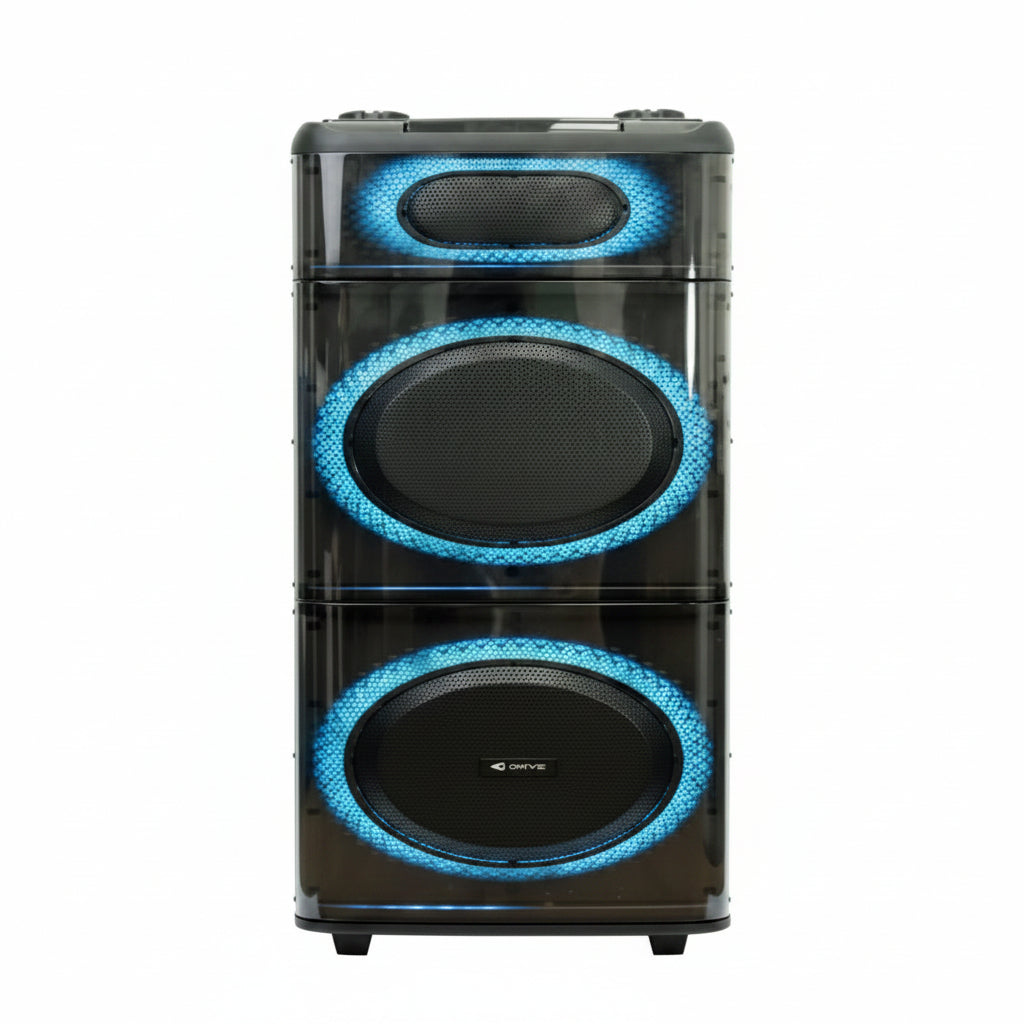 Meirende 1010 W dual 10-inch speaker