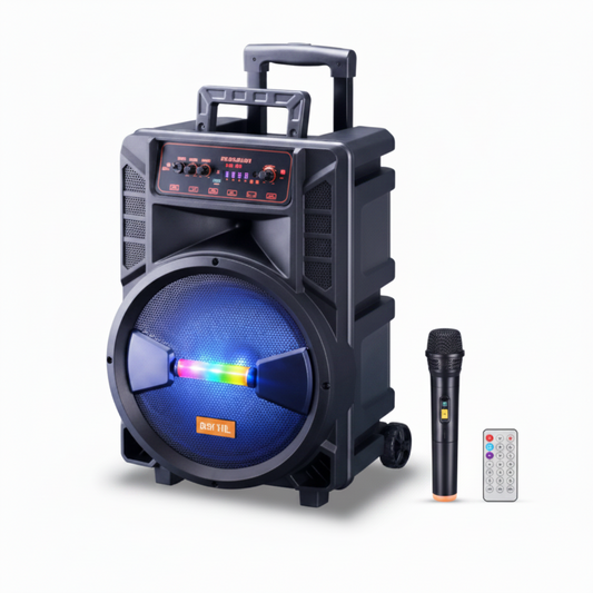 YE-1207 12-inch party speaker