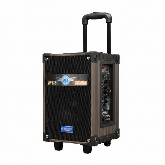 TS08Q3 portable party speaker